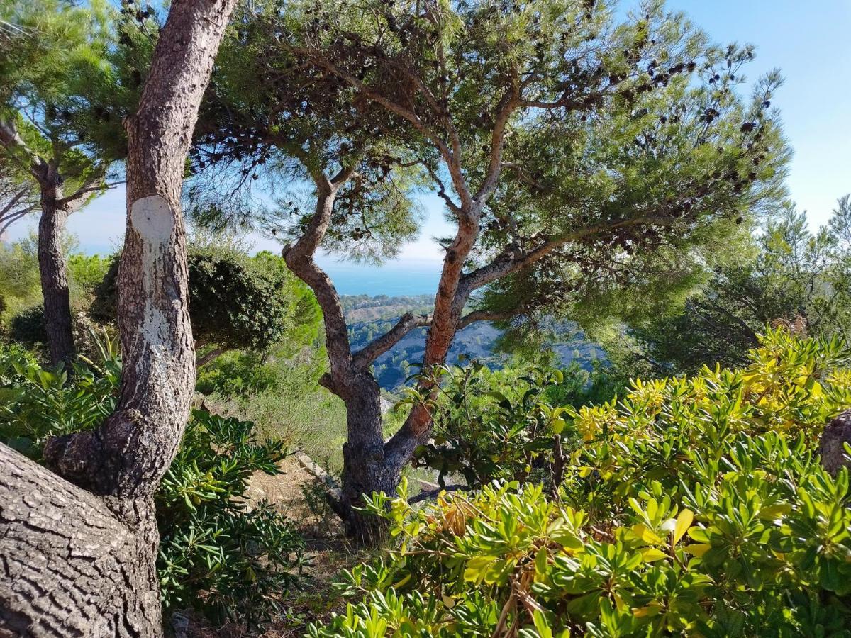 Sweet Calanque - Host Provence Apartamento Cassis Exterior foto